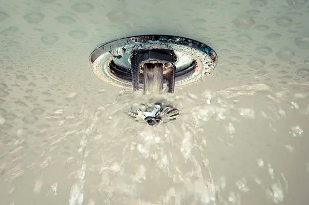 How To Install a Sprinkler System in Stockton, CA How To Install a Sprinkler System in Stockton, CA